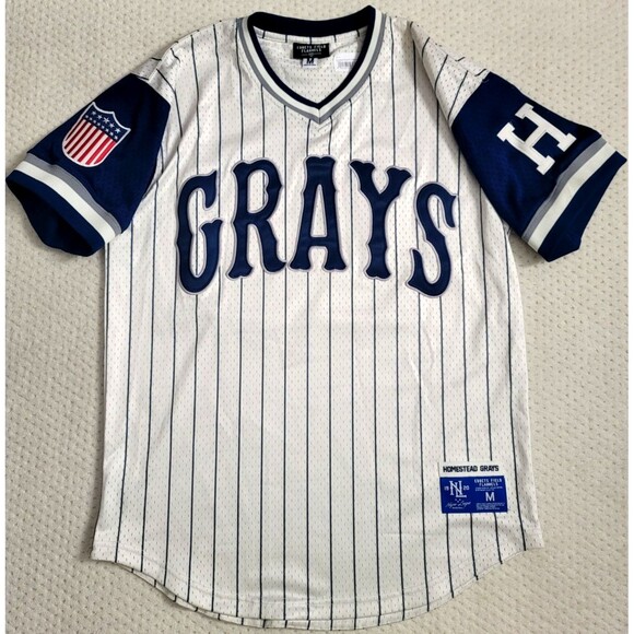 NWT Ebbets Field Flannels Jersey Homestead Grays Pinstripe Josh Gibson #20, M - Picture 1 of 11